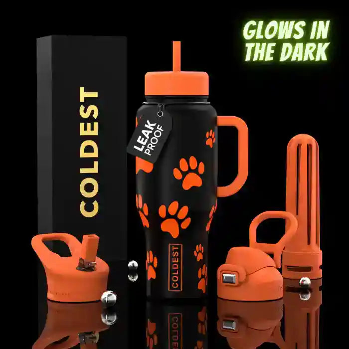 COLDEST 36 oz Limitless Ultra V8 Insulated Bottle