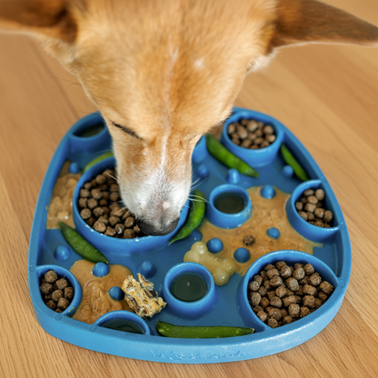 Dog eating from a blue silicone slow feeder enrichment mat filled with kibble, treats, and vegetables